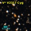 V* V2317 Cyg