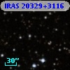 IRAS 20329+3116