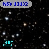 NSV 13132