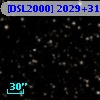 [DSL2000] 2029+311