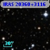 IRAS 20360+3116