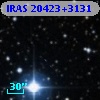 IRAS 20423+3131