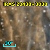 IRAS 20438+3038