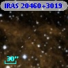 IRAS 20460+3019
