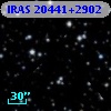 IRAS 20441+2902