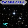 TYC 2687-213-1
