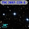 TYC 2687-229-1