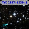 TYC 2687-1239-1