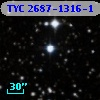 TYC 2687-1316-1