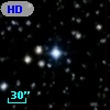 HD 335300
