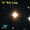 V* RX Cep