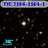 TYC 2184-1164-1