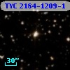 TYC 2184-1209-1