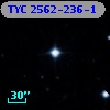 TYC 2562-236-1