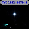 TYC 2562-1079-1