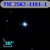 TYC 2562-1181-1