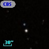 CBS 251