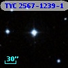 TYC 2567-1239-1
