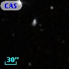 CASG 1315
