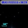 IRAS F15511+3629