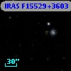 IRAS F15529+3603