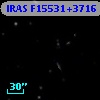 IRAS F15531+3716