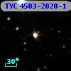 TYC 4503-2020-1