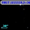 FIRST J155558.3+362137