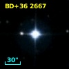 BD+36  2667