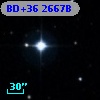 BD+36  2667B