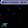 IRAS F15558+3613