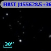 FIRST J155628.5+363253