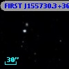 FIRST J155730.3+365235