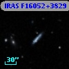 IRAS F16052+3829