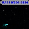 IRAS F16026+3650