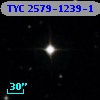 TYC 2579-1239-1