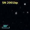 SN 2001bp
