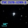 TYC 2579-1289-1