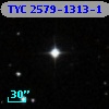 TYC 2579-1313-1