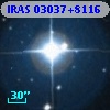 IRAS 03037+8116