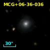 MCG+06-36-036