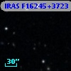 IRAS F16245+3723