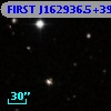 FIRST J162936.5+393304