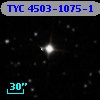 TYC 4503-1075-1