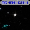 TYC 4503-1233-1