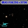 IRAS F16291+3736