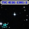 TYC 4516-1301-1