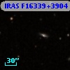 IRAS F16339+3904