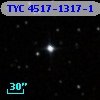 TYC 4517-1317-1