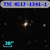 TYC 4517-1341-1